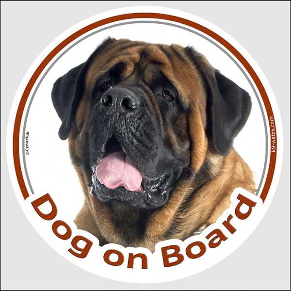 Circle sticker "Dog on board" 15 cm, Fawn Old English Mastiff Head, decal label adhesive car