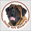 Circle sticker "Dog on board" 15 cm, Fawn English Mastiff Head