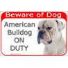 Red Portal Sign "Beware of Dog, White American Bulldog on duty" portal placard door plate panel photo notice