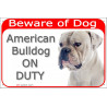 Red Portal Sign "Beware of Dog, American Bulldog on duty" 24 cm