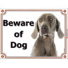 Portal Sign, 2 Sizes Beware of Dog, Weimaraner head, Door plate, placard portal panel Weim