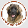 Leonberger Head circle sticker "Dog on board" Decal label adhesive car Leo photo notice