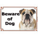 Fawn & White English Bulldog, portal Sign "Beware of Dog" Door Plate red British, portal placard photo notice