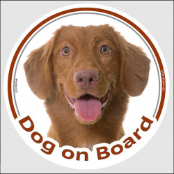 Nova Scotia Duck Tolling Retriever Head, circle sticker "Dog on board" decal label adhesive car Toller photo notice