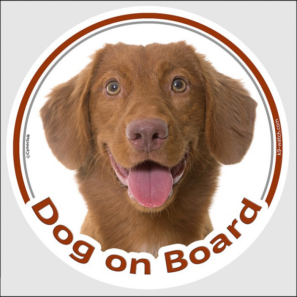 Nova Scotia Duck Tolling Retriever Head, circle sticker "Dog on board" decal label adhesive car Toller photo notice