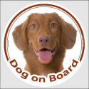 Nova Scotia Retriever, car circle sticker "Dog on board" 15 cm