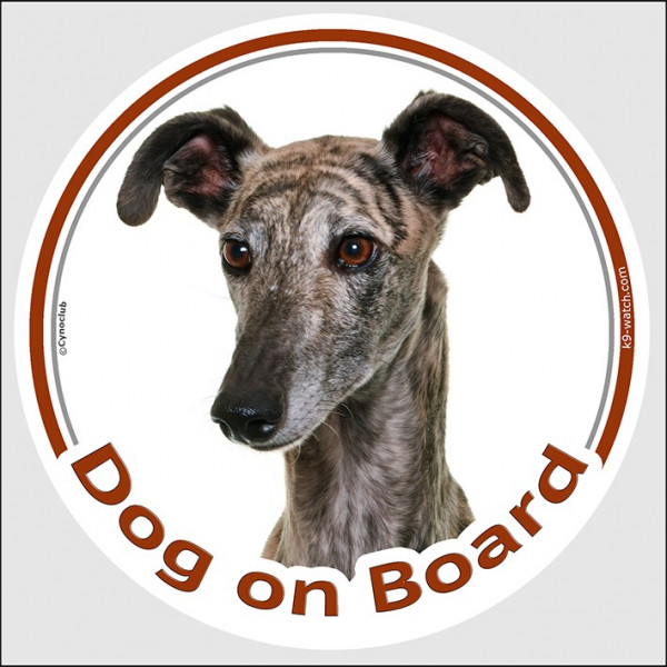 Circle sticker "Dog on board" 15 cm, Spanish Galgo Head, decal adhesive car label