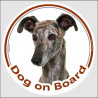 Circle sticker "Dog on board" 15 cm, Spanish Galgo Head, decal adhesive car label
