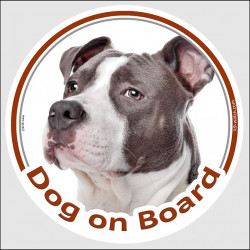 Grey blue Amstaff, car circle sticker "Dog on board" American Staffordshire Terrier, decal label adhesive car photo notice