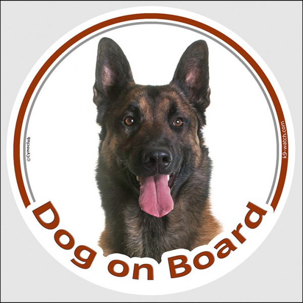 Circle sticker "Dog on board" 15 cm, Belgium Shepherd Malinois Head, decal adhesive car label belgian dark