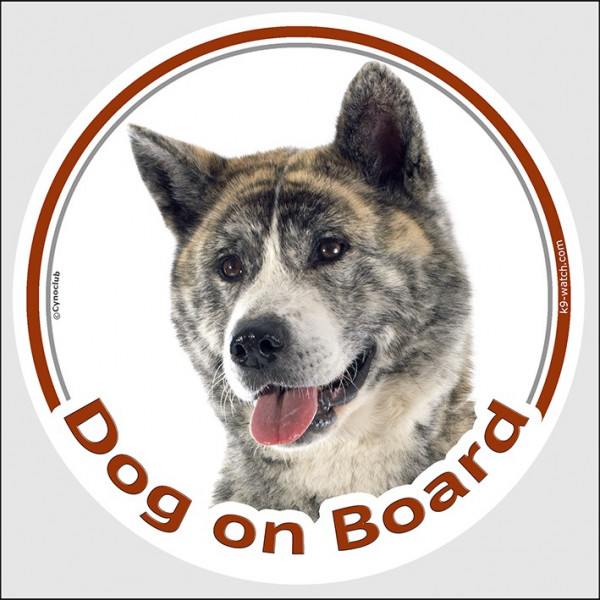 Brindle Japanese Akita Inu, car circle sticker "Dog on board" decal adhesive photo notice label