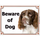 Portal Sign, 2 Sizes Beware of Dog, Welsh Springer Spaniel head, door plate, portal placard, door panel