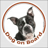 Circle sticker "Dog on board" 15 cm, Boston Terrier Head, decal adhesive car label Bull Boxwood