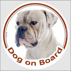 White American Bulldog, car circle sticker "Dog on board" decal adhesive label southern old english hill country photo notice
