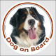 Circle sticker "Dog on board" 15 cm, Bernese Moutain Dog Head, Decal adhesive label car Berner Sennenhund