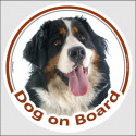Circle sticker "Dog on board" 15 cm, Bernese Moutain Dog Head
