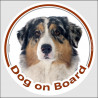 Circle sticker "Dog on board" 15 cm, Blue merle Australian Shepherd Head, decal adhesive car label Aussie