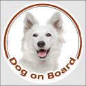 Circle sticker "Dog on board" 15 cm, American White Shepherd Head