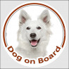 Circle sticker "Dog on board" 15 cm, American White Shepherd Head, decal adhesive car label Canadian WS