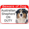 Portal Sign red 24 cm Beware of Dog, Merle Blue Australian Shepherd on duty