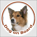 Circle sticker "Dog on board" 15 cm, Tricolor Border Collie Head
