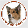 Circle sticker "Dog on board" 15 cm, Tricolor Border Collie Head, decal adhesive car label tricolour