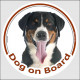 Circle sticker "Dog on board" 15 cm, Swiss Mountain dog Head, decal adhesive car label Sennenhund