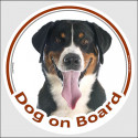 Circle sticker "Dog on board" 15 cm, Swiss Mountain dog Head