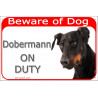 Red Portal Sign "Beware of Dog, Dobermann on duty" door panel, portal placard, Gate plate photo notice