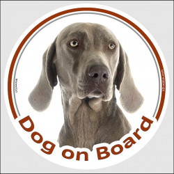 Circle sticker "Dog on board" 15 cm, Weimaraner Head, decal adhesive car label Vorstehhund