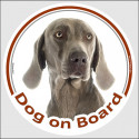 Circle sticker "Dog on board" 15 cm, Weimaraner Head