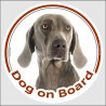 Circle sticker "Dog on board" 15 cm, Weimaraner Head, decal adhesive car label Vorstehhund