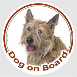 Circle sticker "Dog on board" 15 cm, Berger Picard Head, decal adhesive label car picardy shepherd sheepdog