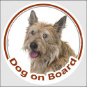 Circle sticker "Dog on board" 15 cm, Berger Picard Head