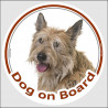 Circle sticker "Dog on board" 15 cm, Berger Picard Head, decal adhesive label car picardy shepherd sheepdog