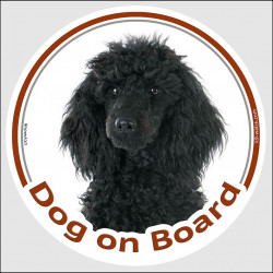 Black Poodle Head, circle sticker "Dog on board" decal adhesive car label photo notice