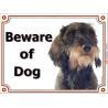 Portal Sign, 2 Sizes Beware of Dog, wild-boar wirehaired Dachshund head, portal placard, door plate, gate panel Dackel Doxie