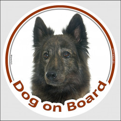 Brindle long hair Dutch Shepherd Head, car circle sticker "Dog on board" decal photo adhesive car label hollandaise herder