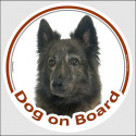Dutch Shepherd, car circle sticker "Dog on board" 15 cm