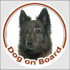 Brindle long hair Dutch Shepherd Head, car circle sticker "Dog on board" decal photo adhesive car label hollandaise herder
