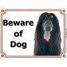 Portal Sign, 2 Sizes Beware of Dog, Black and Tan Afghan Hound head, portal placard, Gate plate, Door panel Persian Greyhound, 