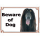 Portal Sign, 2 Sizes Beware of Dog, Black and Tan Afghan Hound head, portal placard, Gate plate, Door panel Persian Greyhound, 