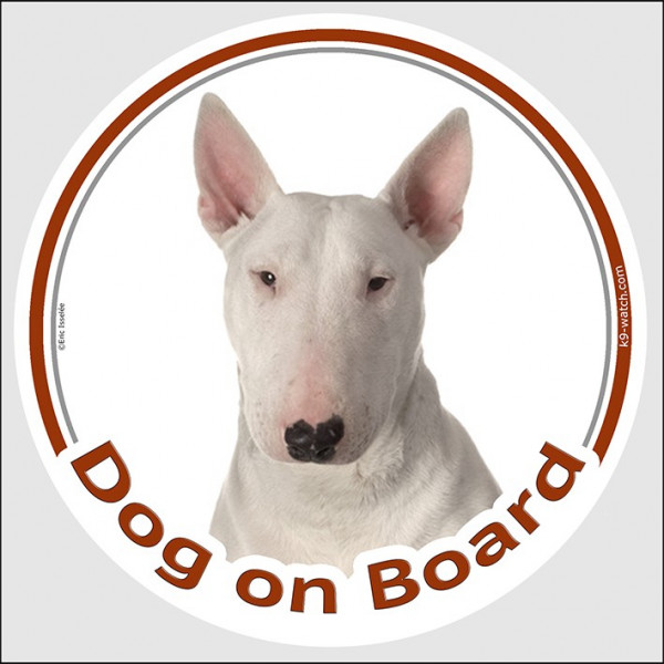 Circle sticker "Dog on board" 15 cm, White English Bull Terrier Head, decal adhesive car label