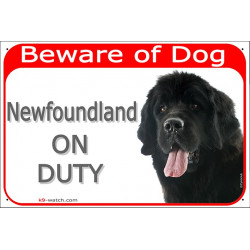 Red Portal Sign "Beware of Dog, Newfoundland on duty" Door plate, portal placard, gate panel newf, newfie photo notice