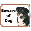 Appenzeller Sennenhund head, portal Sign "Beware of Dog" 2 Sizes