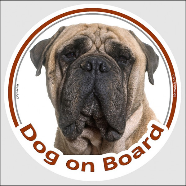 Light fawn Bullmastiff Head, circle sticker "Dog on board" decal adhesive car label photo notice