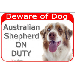 Portal Sign red 24 cm Beware of Dog, Red Merle Australian Shepherd on duty, decal adhesive car label