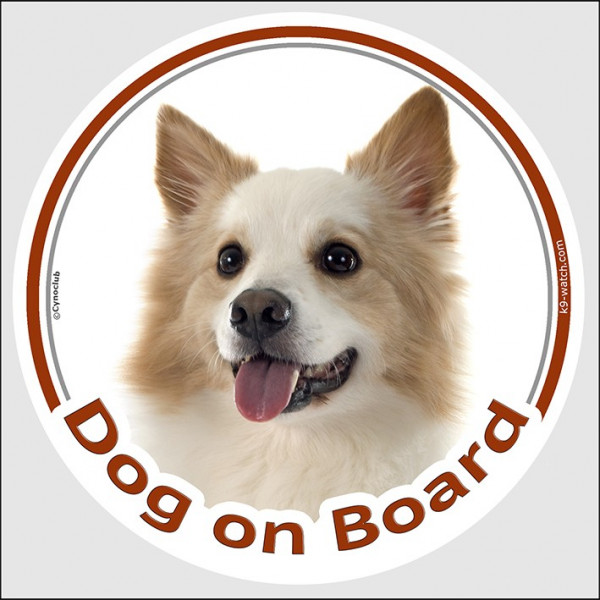 Circle sticker "Dog on board" 15 cm, Icelandic Sheepdog Head, decal adhesive car label Iceland Spitz