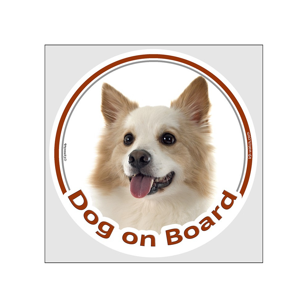 Download Sticker circle sticker "Dog on Board" 15 cm, Icelandic Sheepdog Head