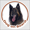 Circle sticker "Dog on board" 15 cm, Belgian Tervuren Shepherd Head, decal adhesive car label belgium Tervueren Sheepdog